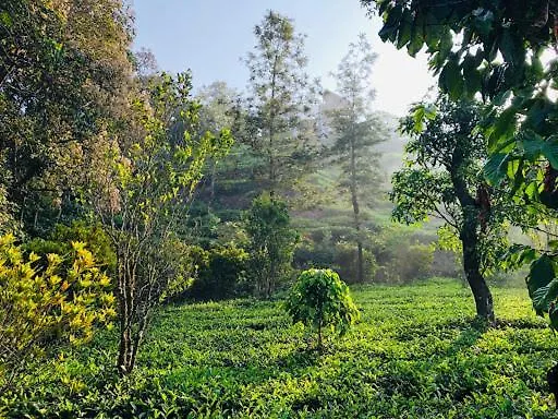 Maverick Holidays Inn Family Villa 1 Vagamon India