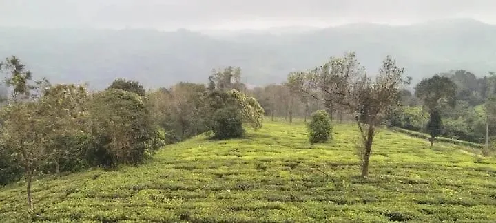 Holiday home Maverick Holidays Inn Family Villa 1 Vagamon