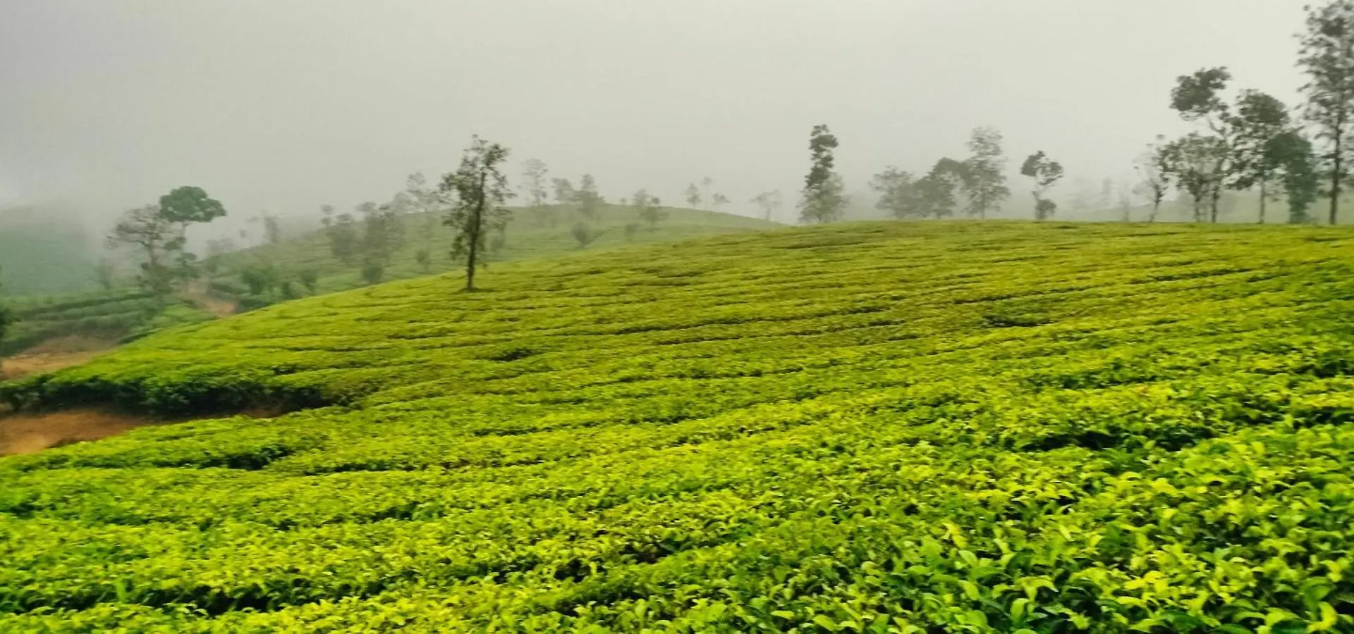 Maverick Holidays Inn Family Villa 1 Vagamon